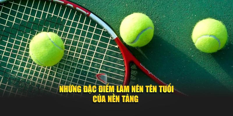 Những đặc điểm làm nên tên tuổi của nền tảng trực tiếp quần vợt